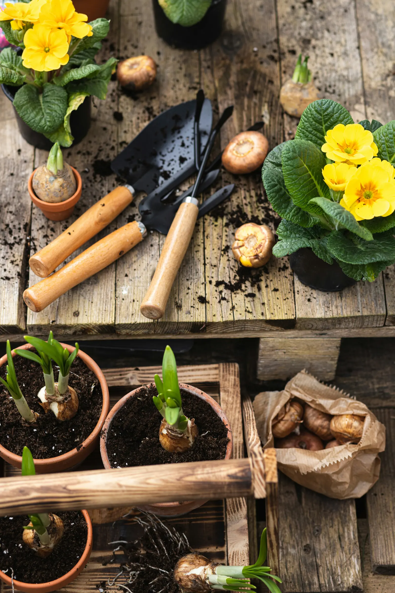 Gardening & Landscaping website category illustration