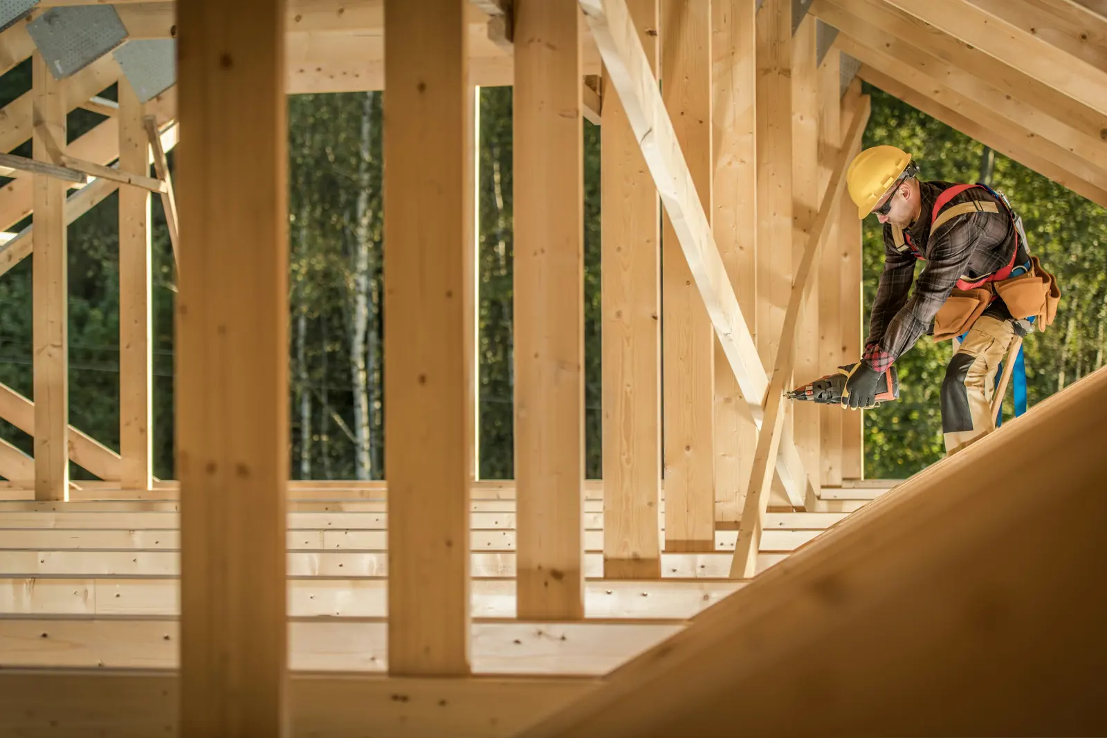 House framing service image