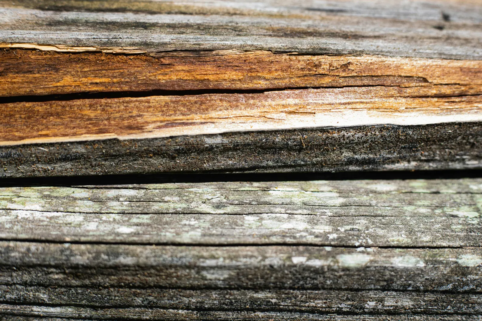 Rotten wood replacement service image