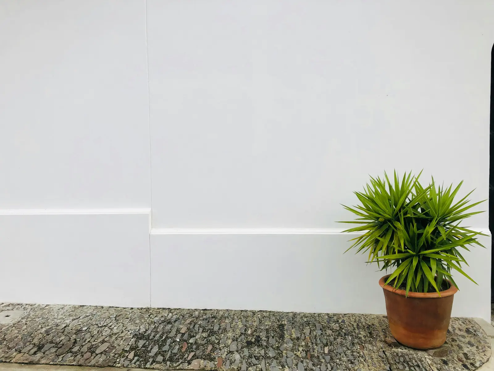 Skirting boards service image