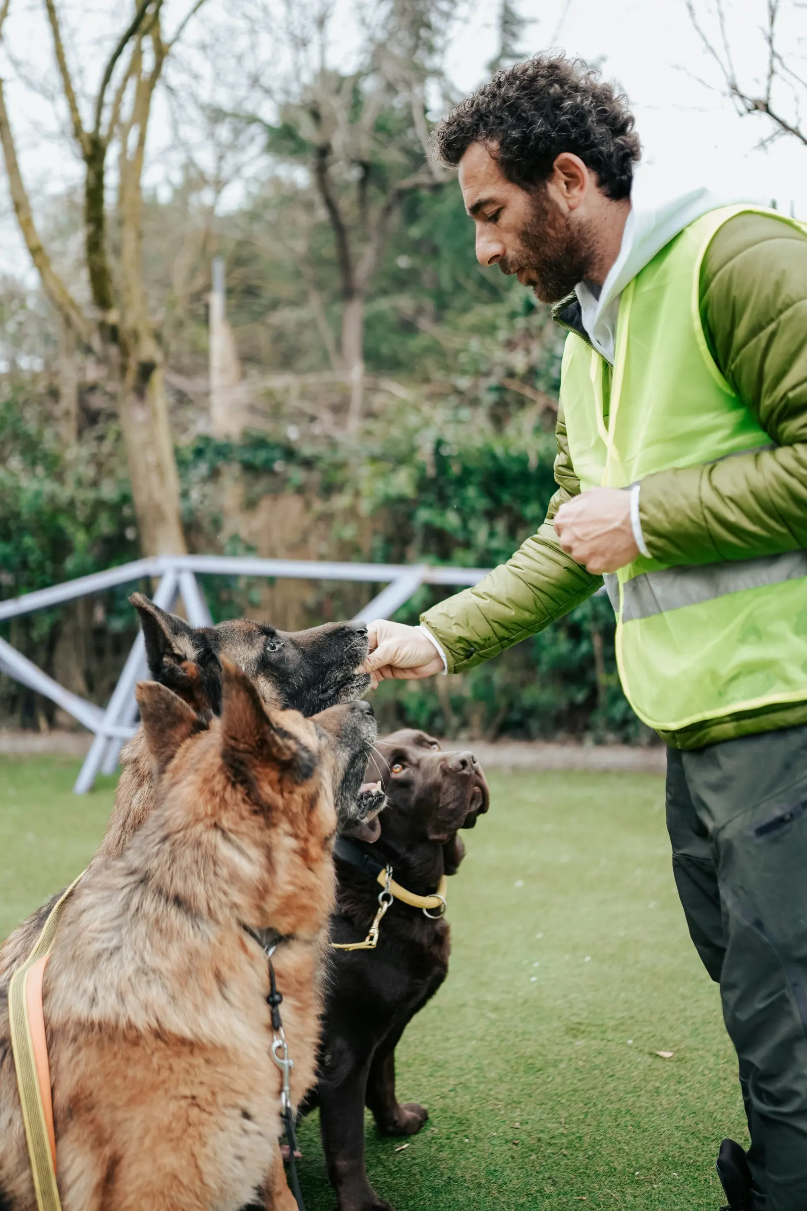 Dog Behaviourist website suitability illustration