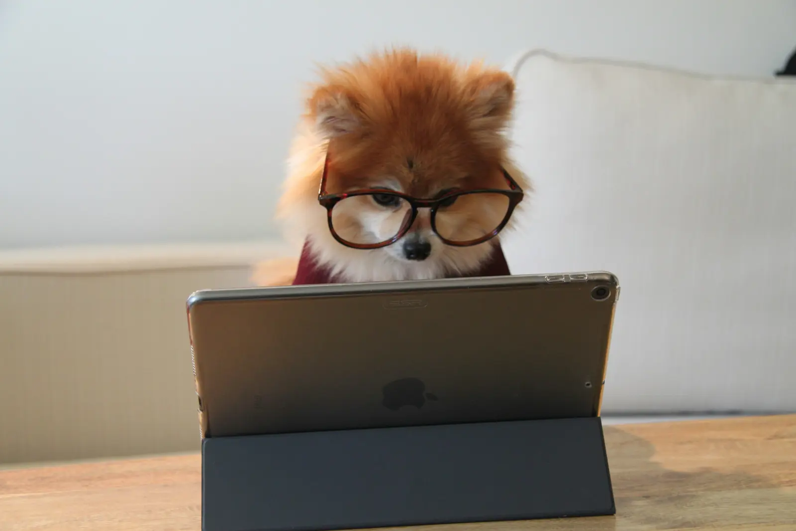 Remote Follow-Up Support service image