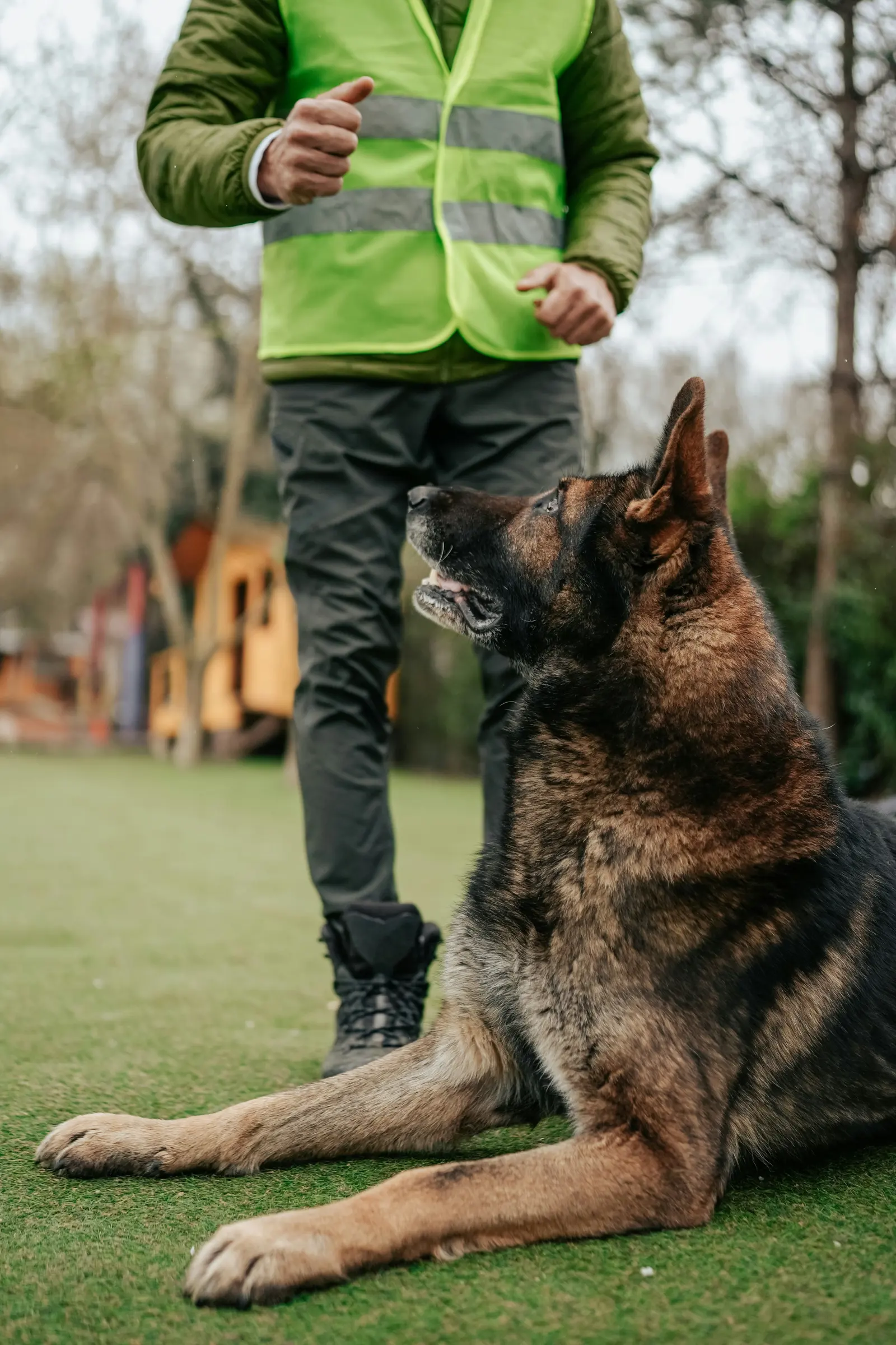 Dog Trainer website image