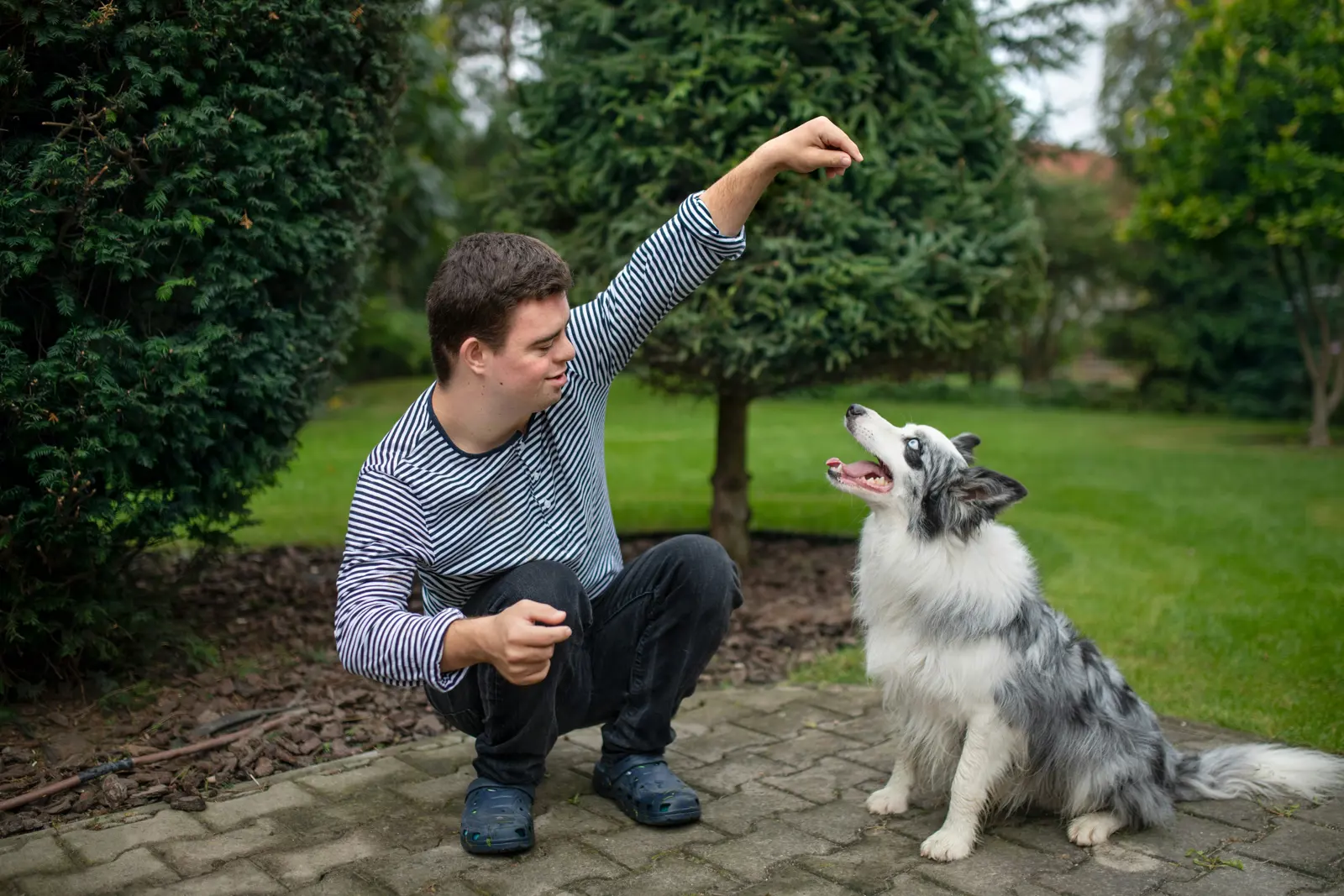 Home and Real-World Training Sessions service image