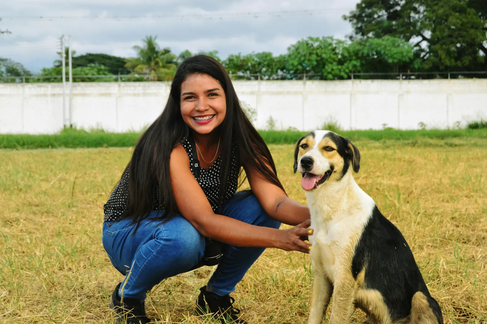 One-to-One Dog Training service image