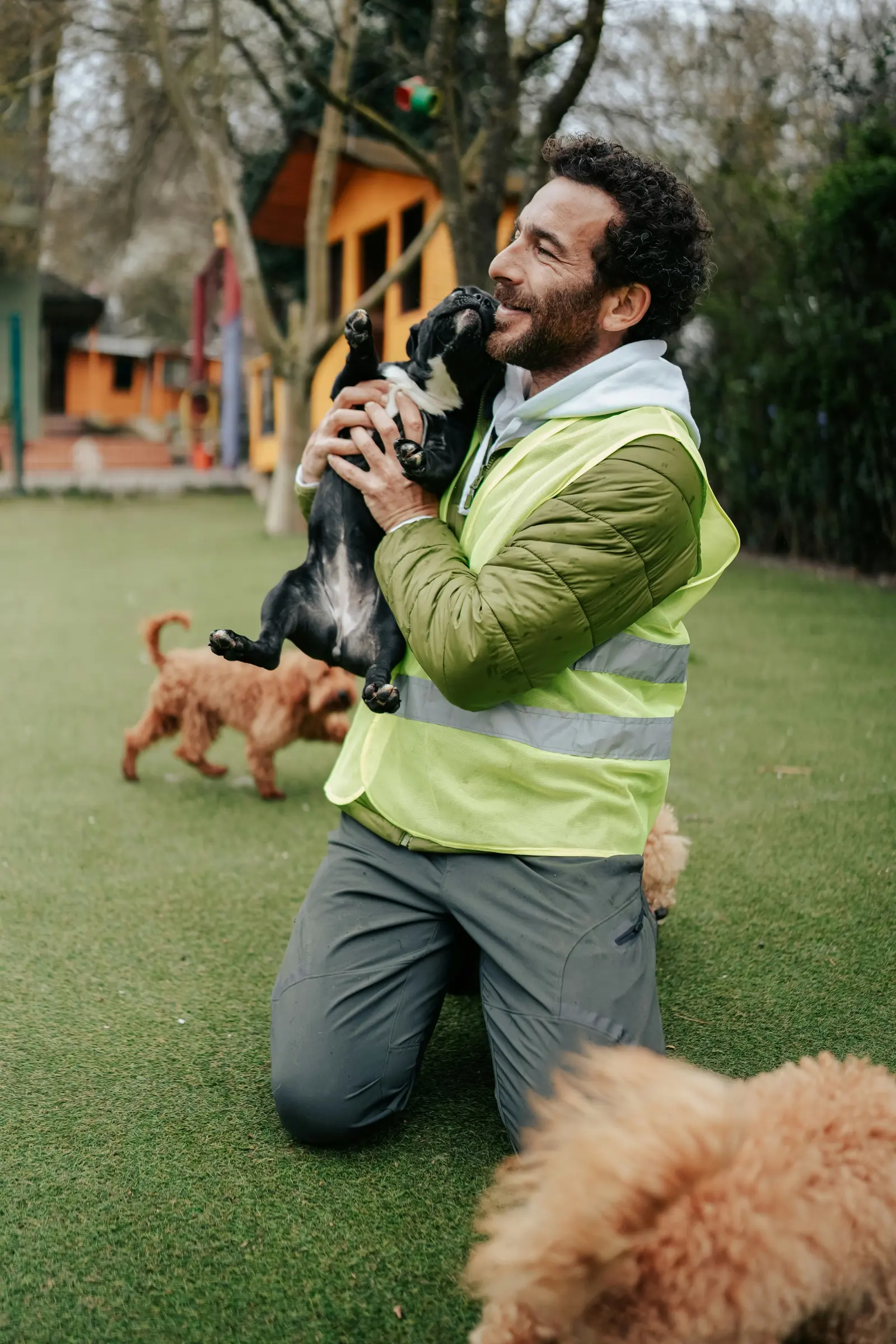 Doggy Daycare website image