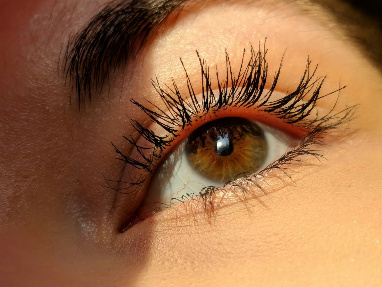 Lash lifts service image