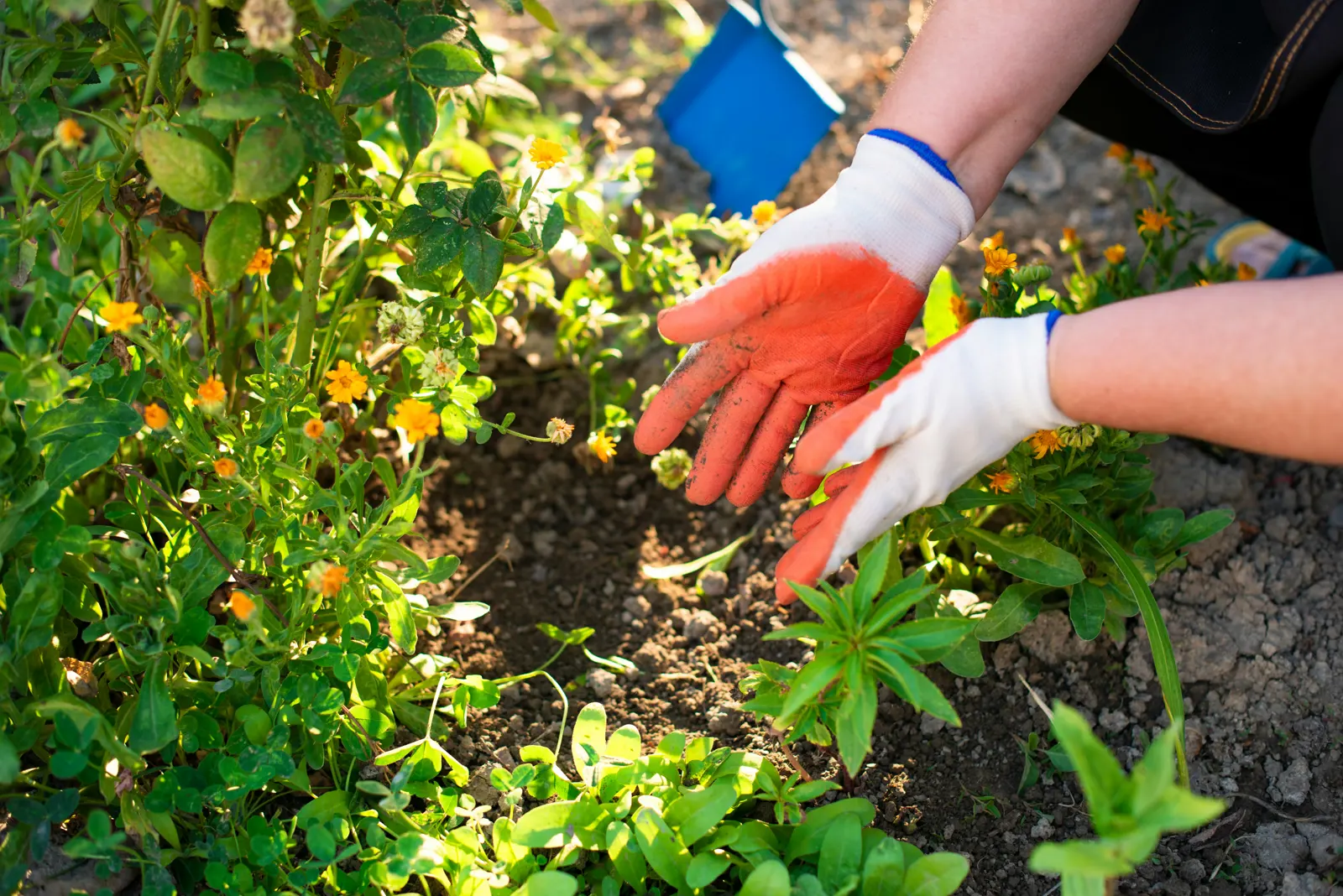 Fertilising service image