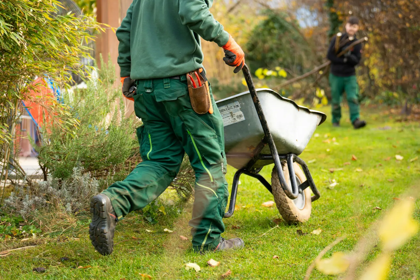 Garden clearance service image