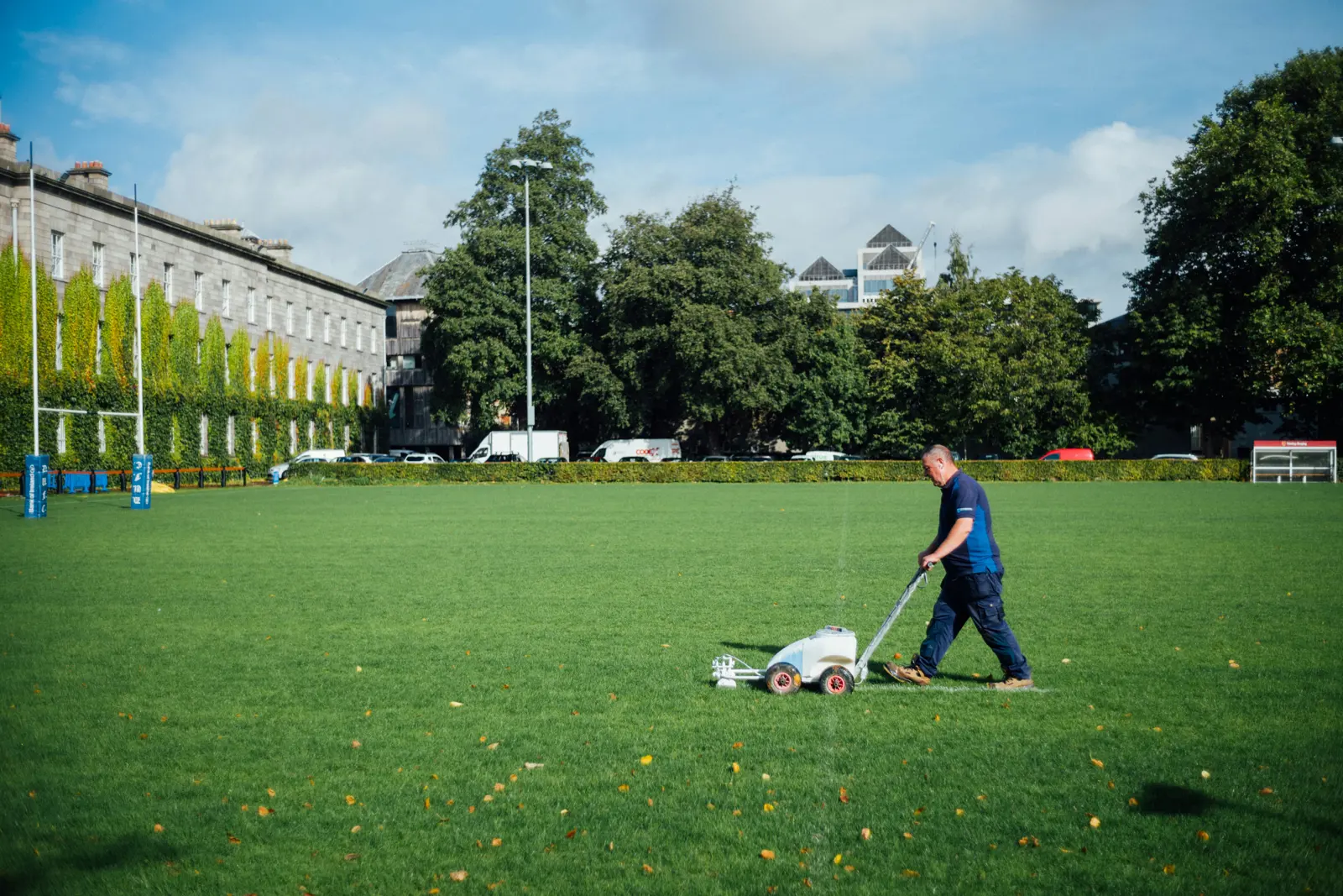 Lawn aeration service image