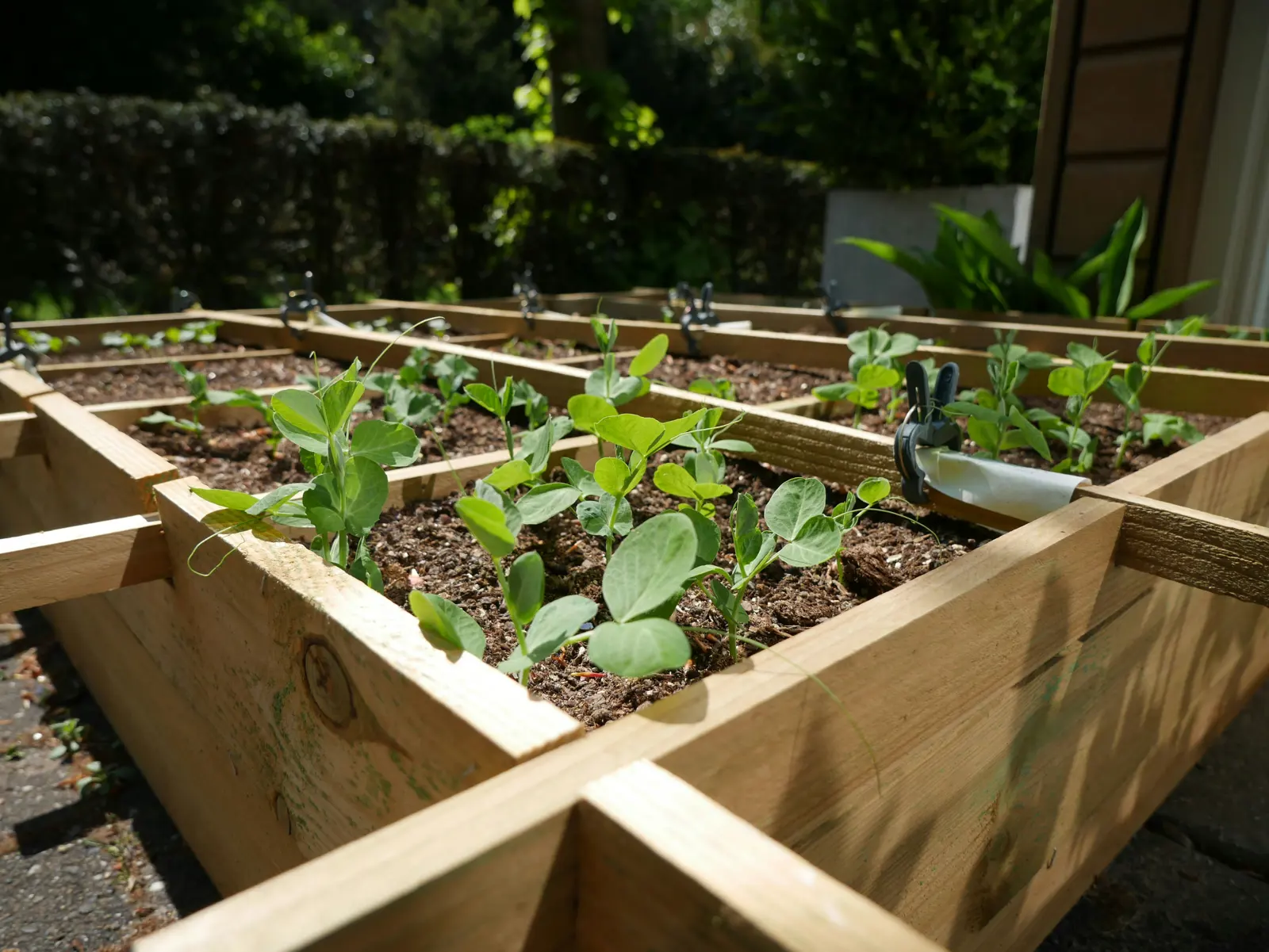 Raised bed creation service image