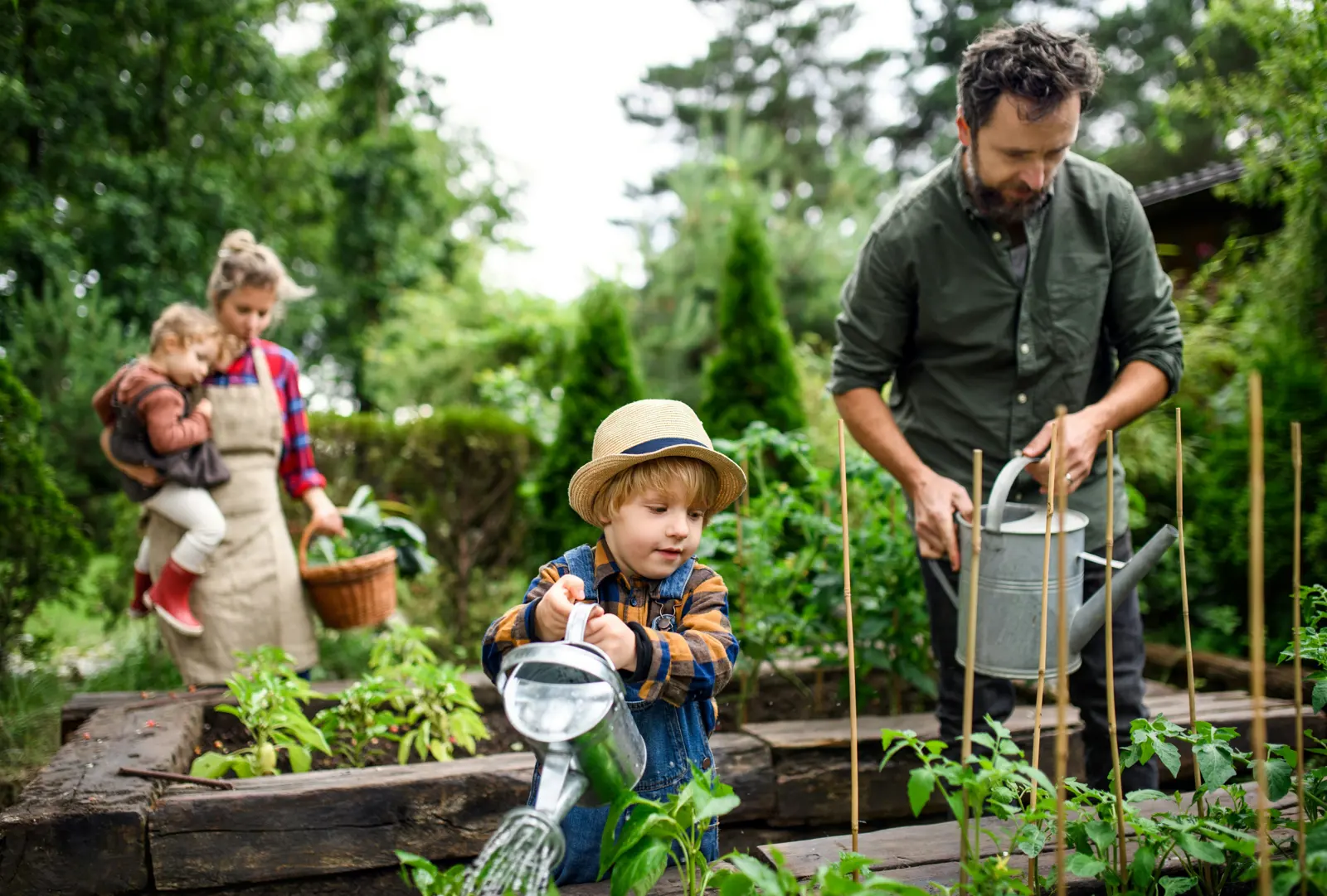 Regular Garden Maintenance service image