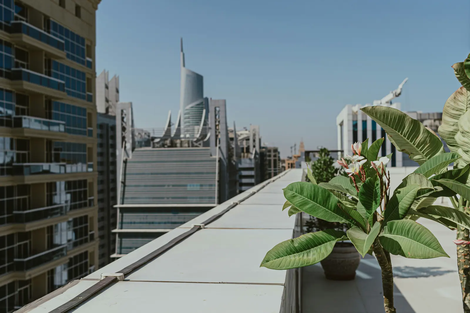 Flat roofing service image