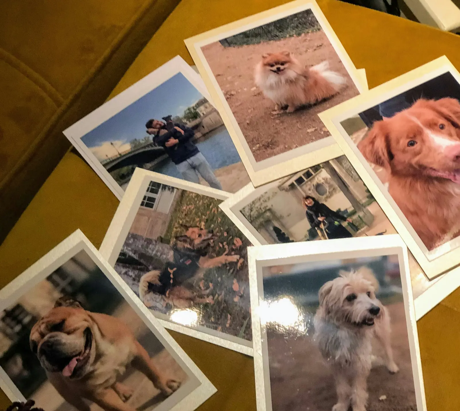 Daily photo updates service image