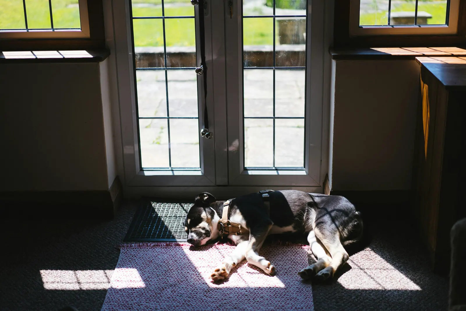 Exclusive or Single-Household Boarding service image