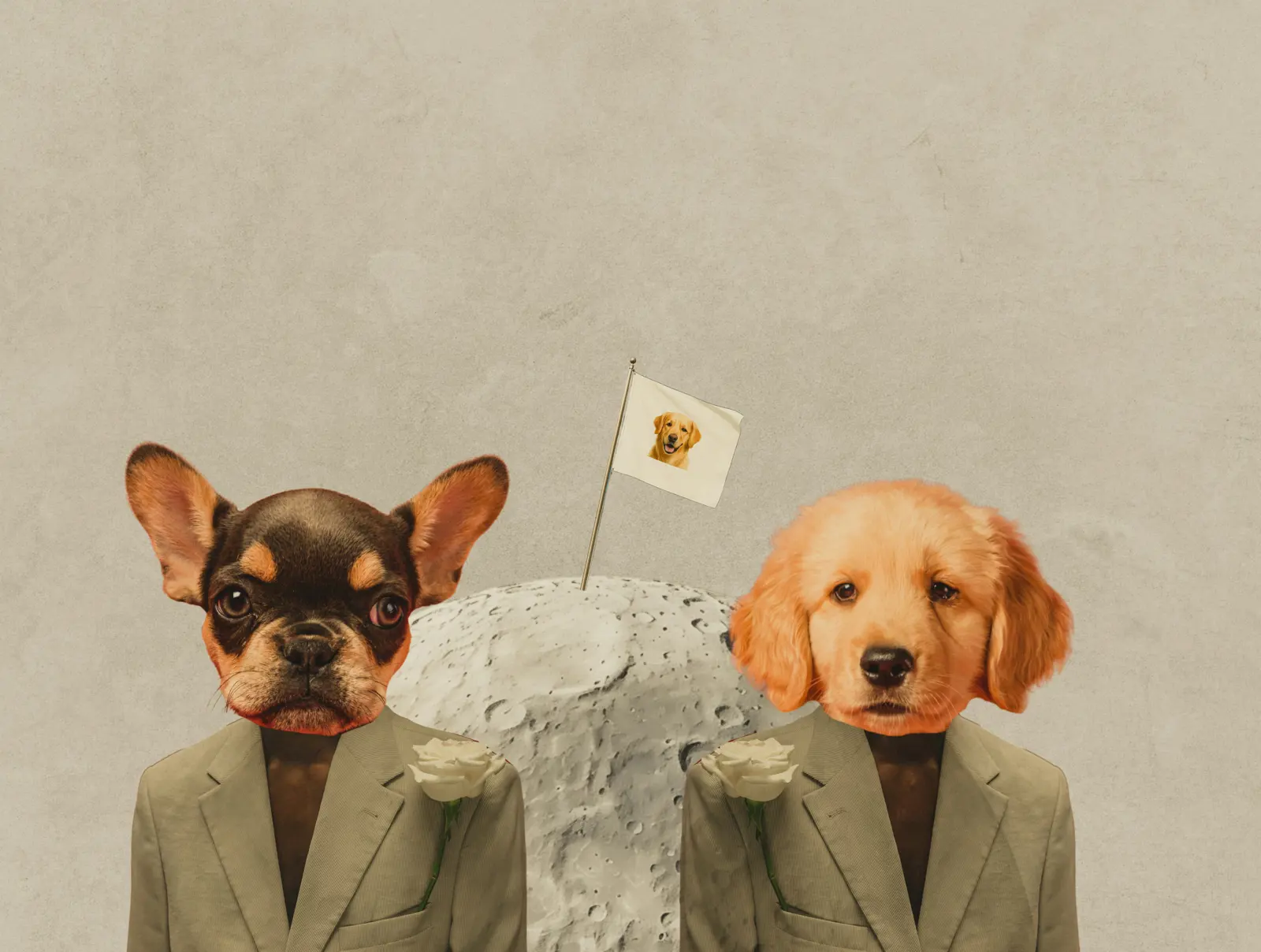 Local council vetting service image