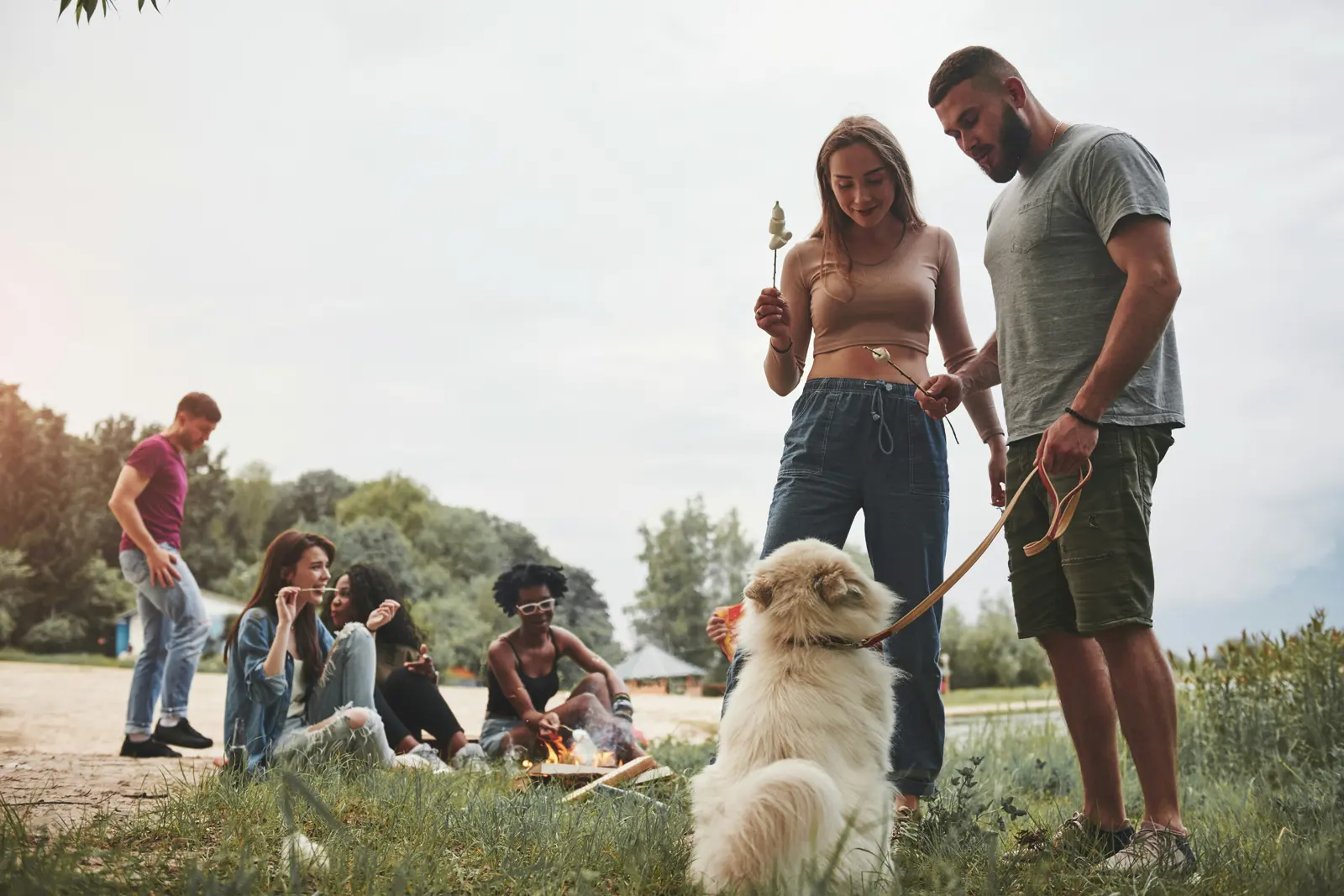 Social interaction service image