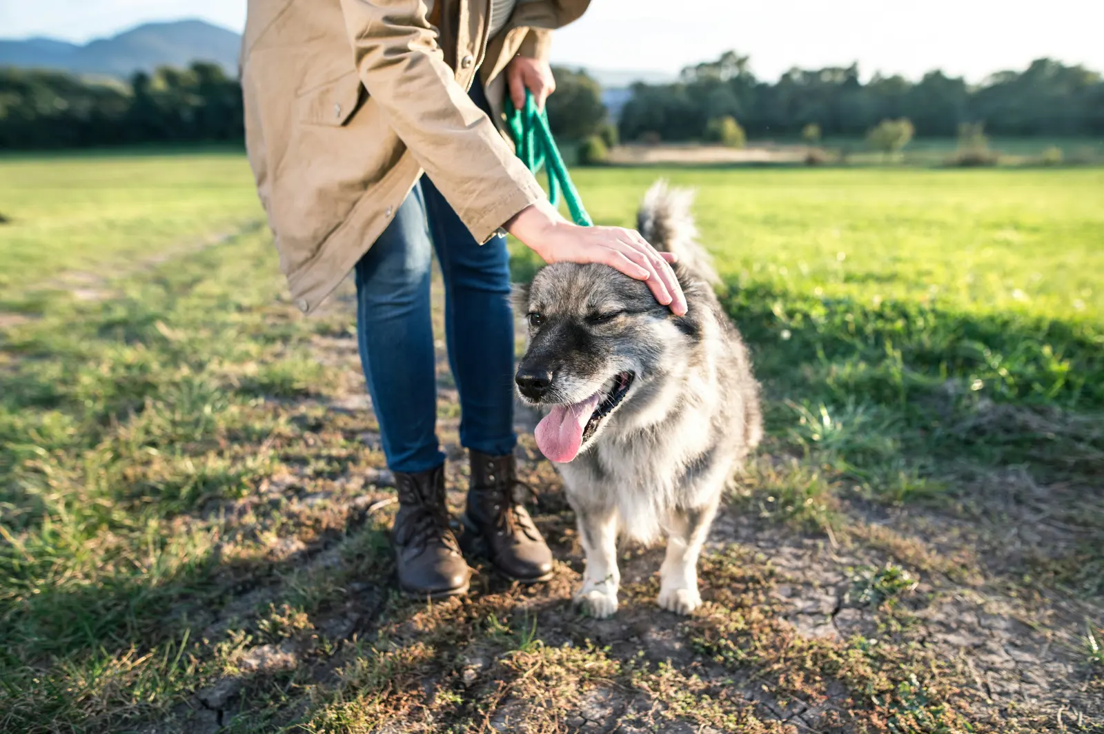 Tailored local walks service image