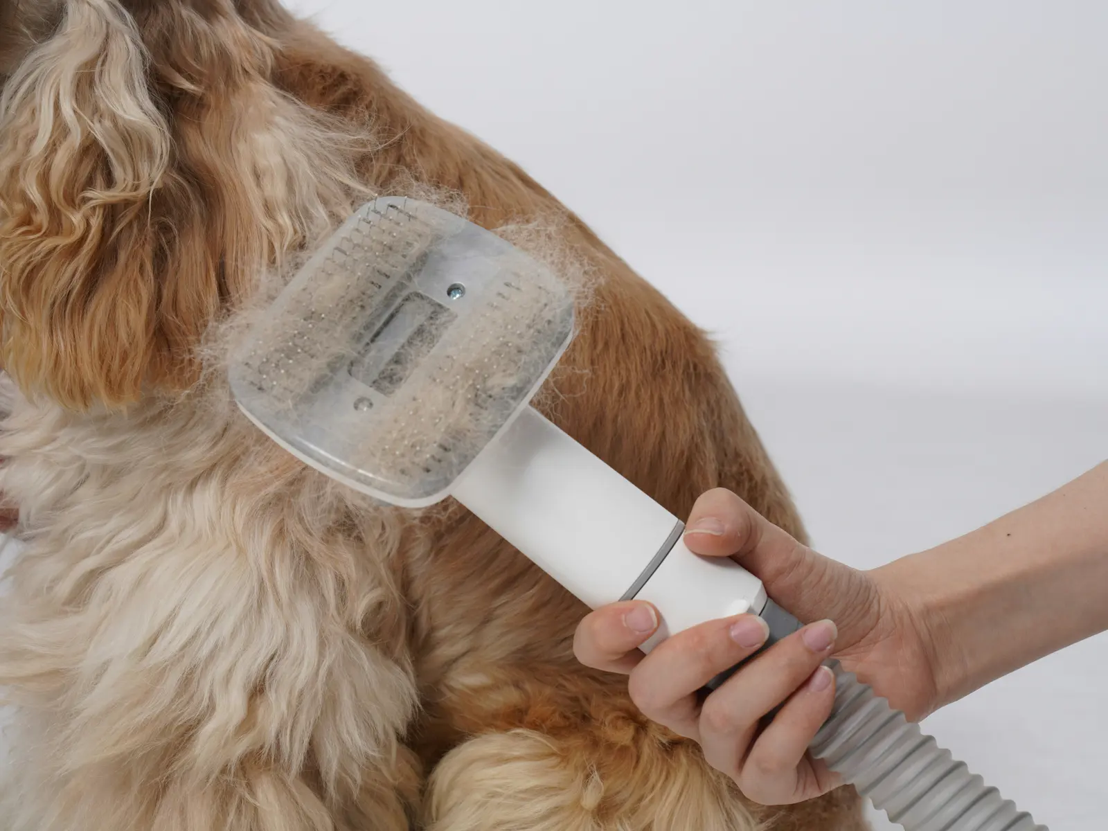 De-Shedding Treatments service image