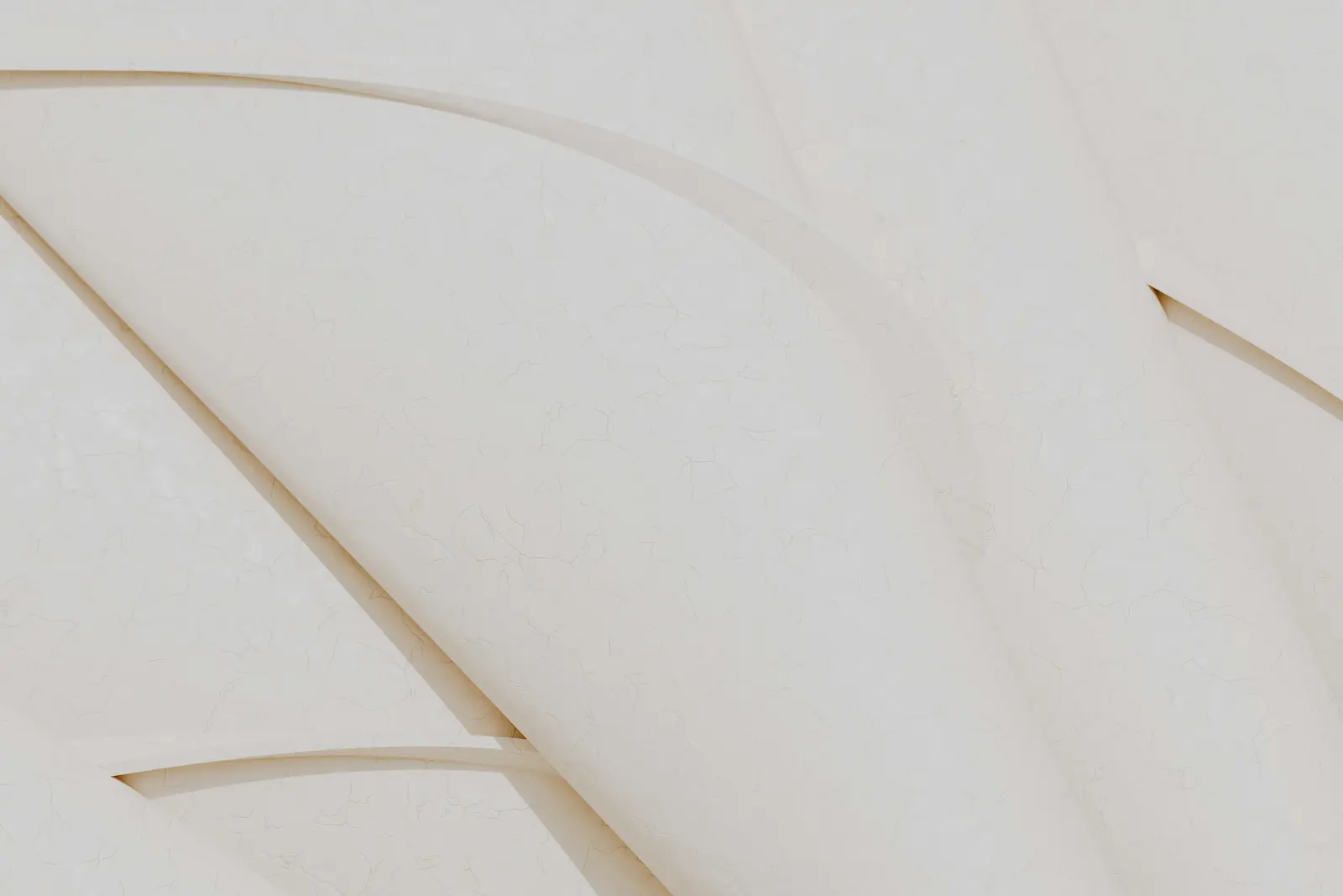 Lining paper application service image