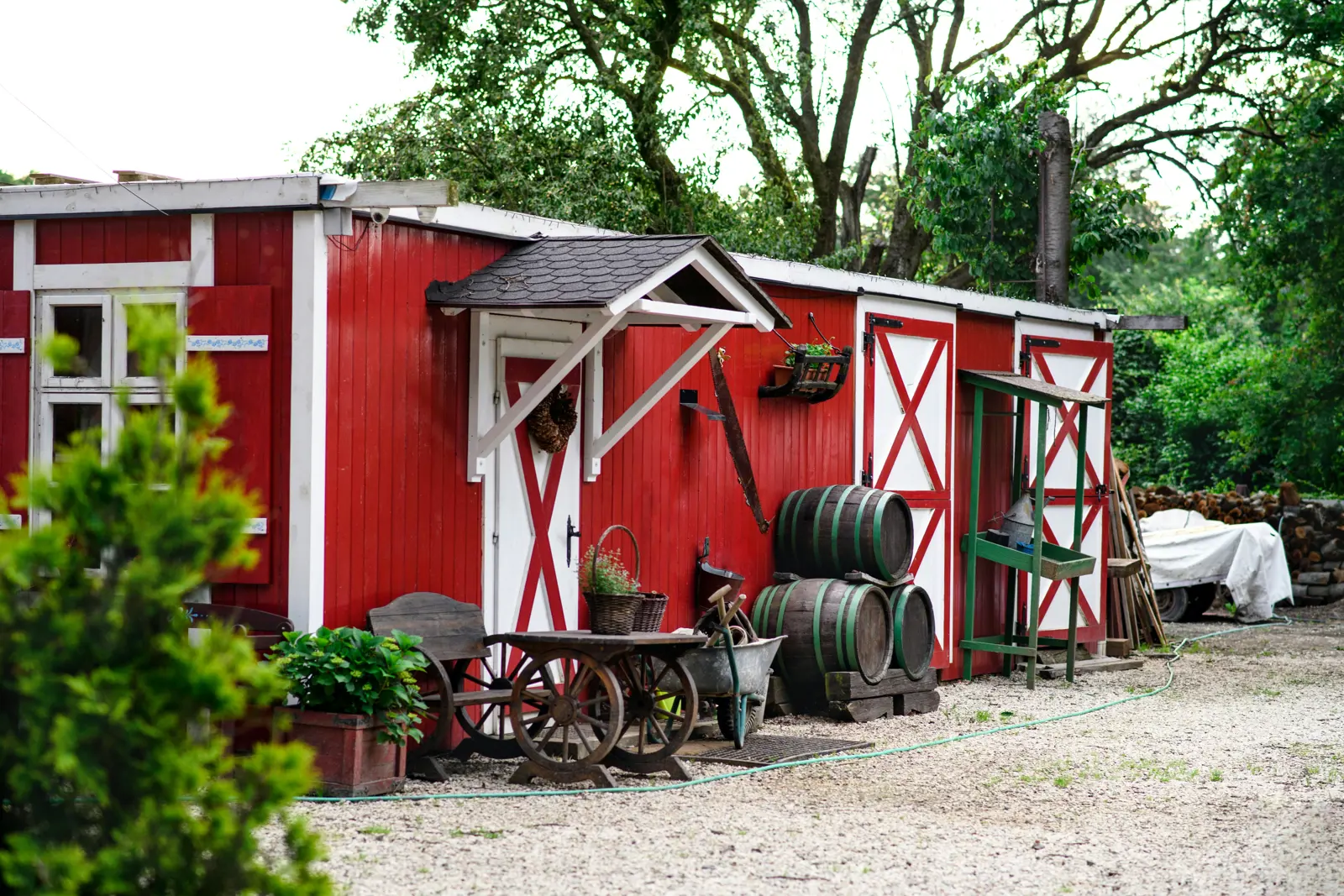 Shed and fence staining service image