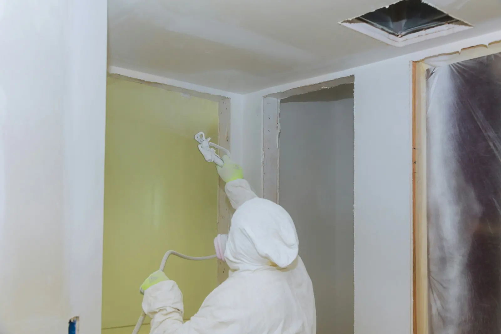 Wall and ceiling painting service image