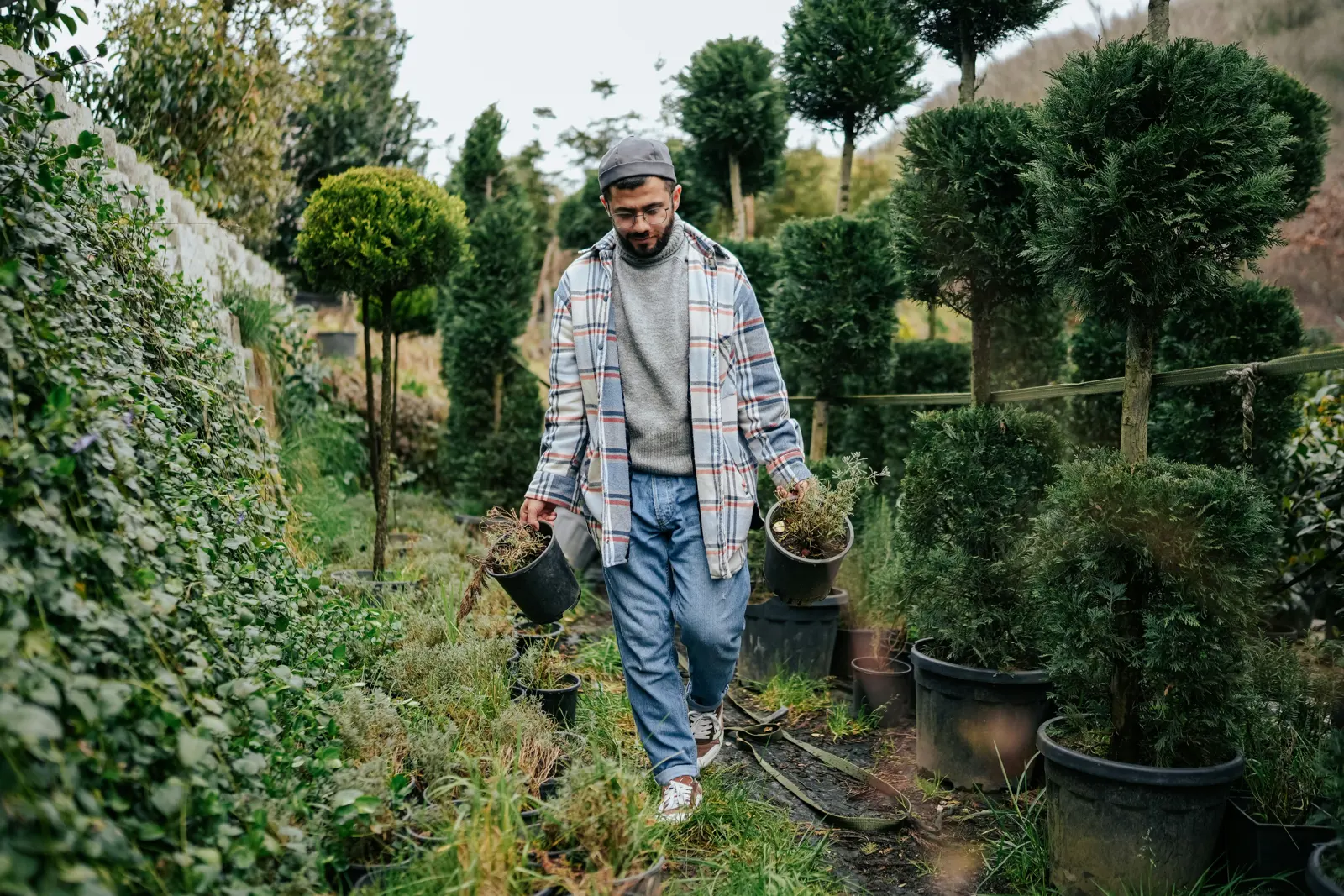 Garden Maintenance service image