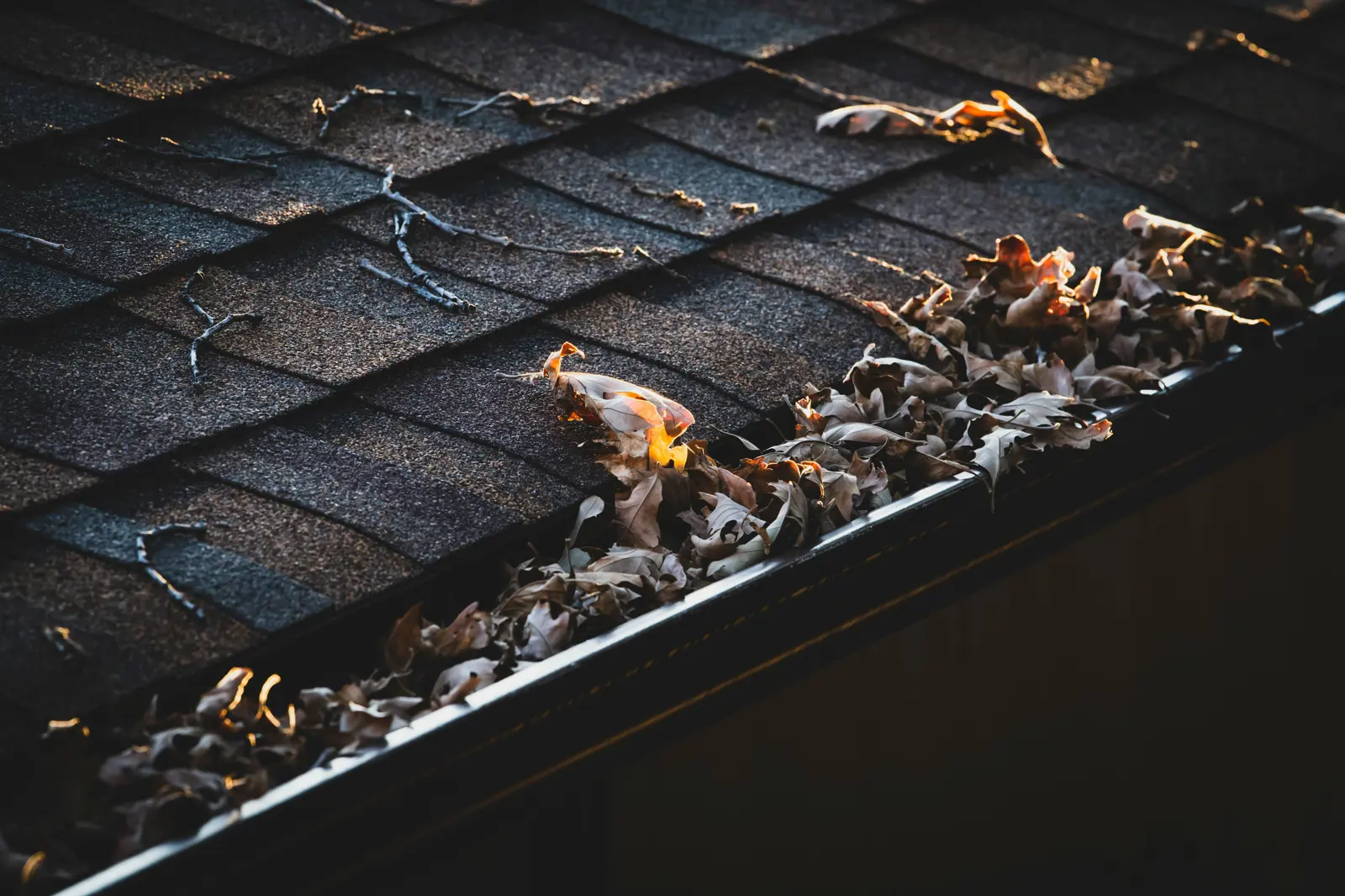 Gutter clearing service image